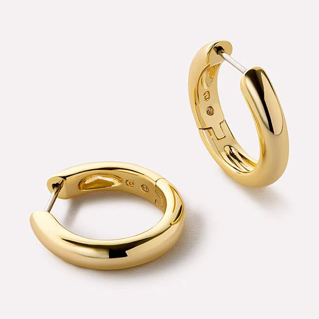 accessory Ana Luisa Giulia Medium Hoop Earrings PacSun $65