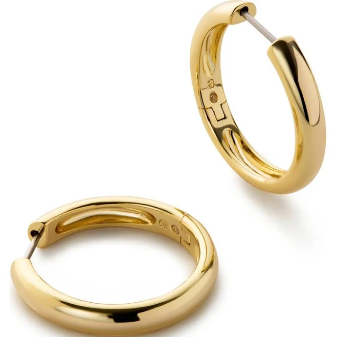 accessory Ana Luisa Hoop Earrings Nordstrom $70