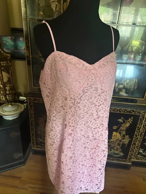 dress Blush Pink Lace Mini Dress Floral Lined Sleeveless Wedding Party Sz 14 eBay - bibisgoodies $28