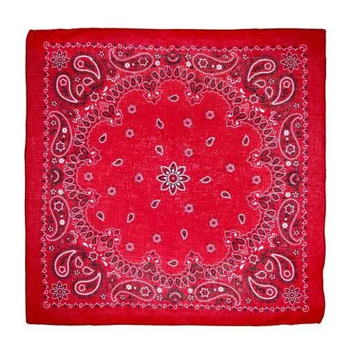 accessory Classic Bandana Hobby Lobby $0.99