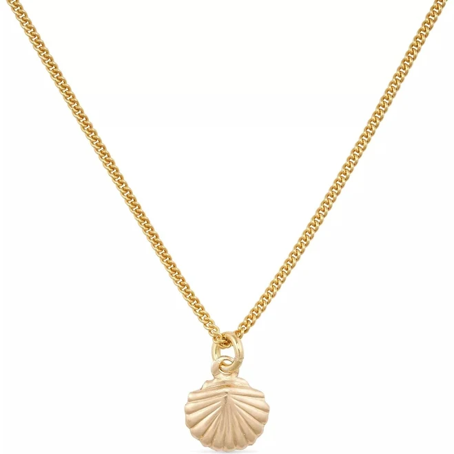 accessory Elk & Bloom Women's Dainty Gold Shell Clam Necklace Wolf & Badger $119