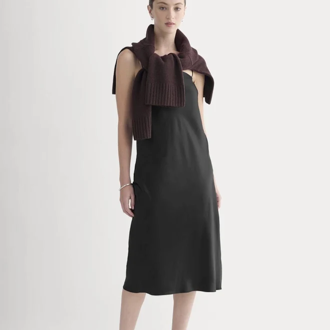 dress Everlane Silk Charmeuse Slip Dress Everlane $62
