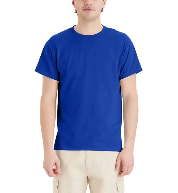 top Hanes Men's 5170 Ecosmart T Shirt Hanes $9