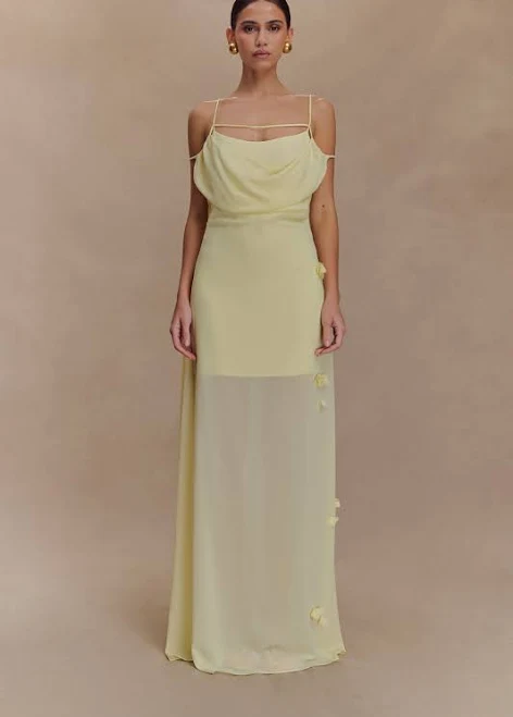 dress Rosalie Floral Chiffon Maxi Dress meshki.us $115