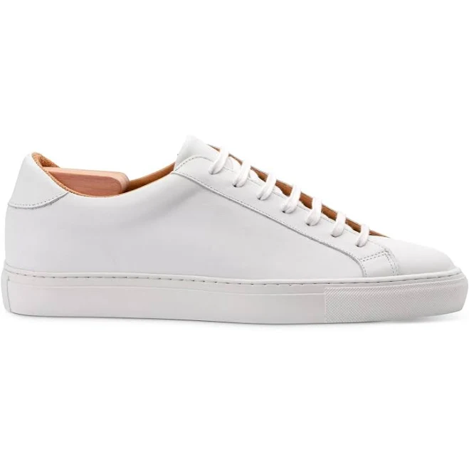 shoes Skolyx Premium Leather Sneaker Skolyx.com $167