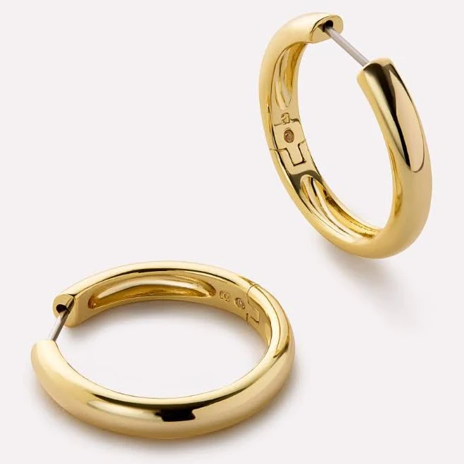 Ana Luisa Hoop Earrings
