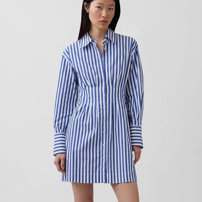 Gap Women's Pleated Mini Shirtdress