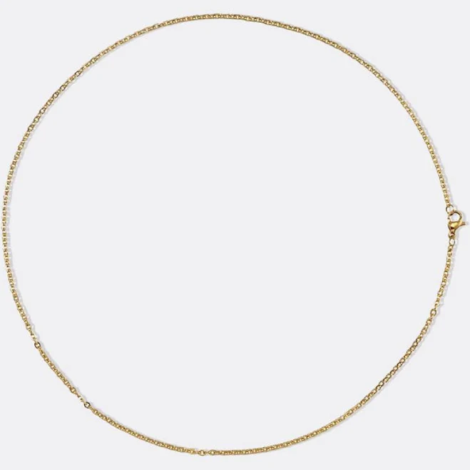 accessory Dainty Cable Chain Necklace Mint & Lily $29