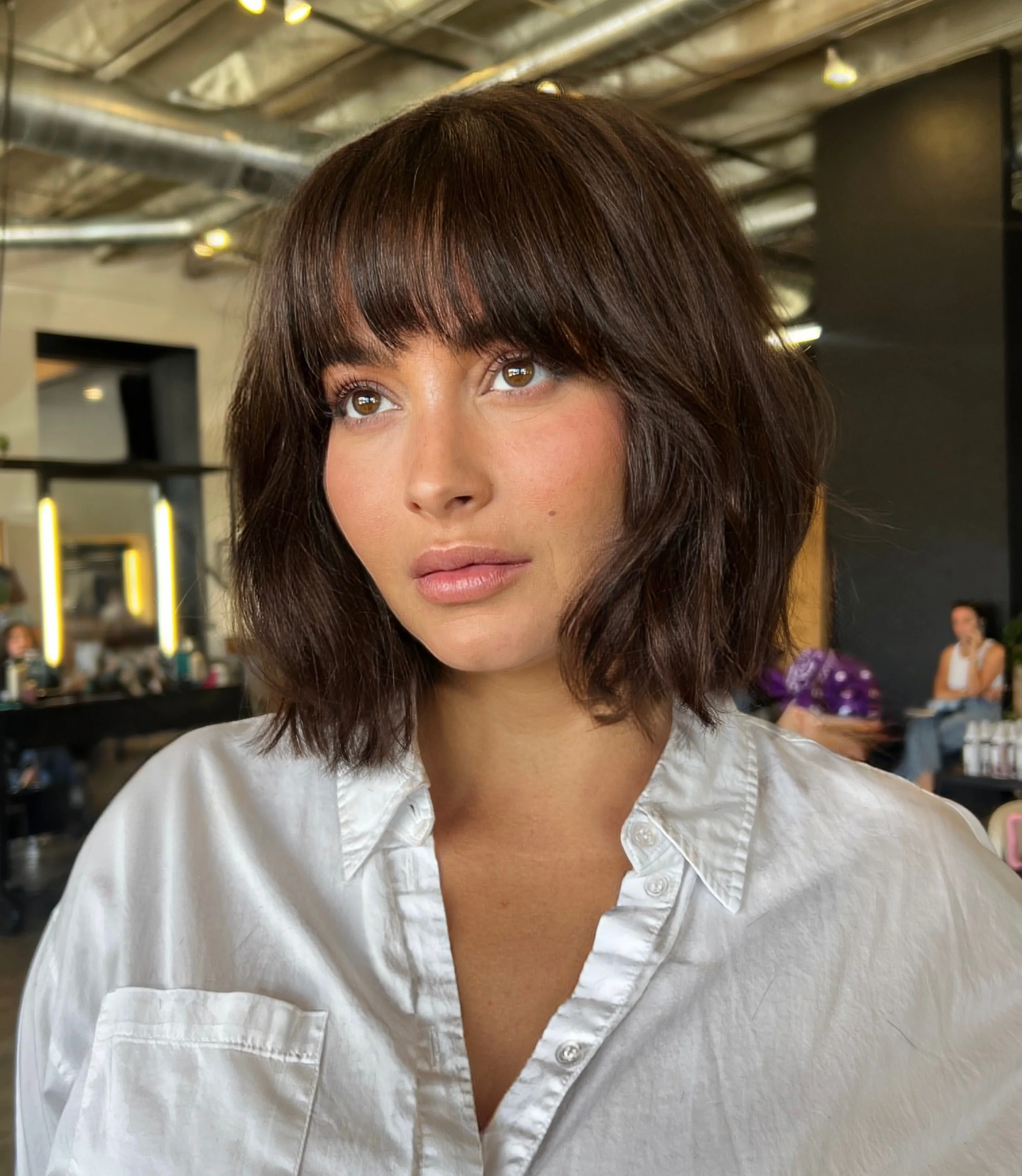 fall bob haircut ideas 2026 Chocolate Italian Bob With Full Fringe