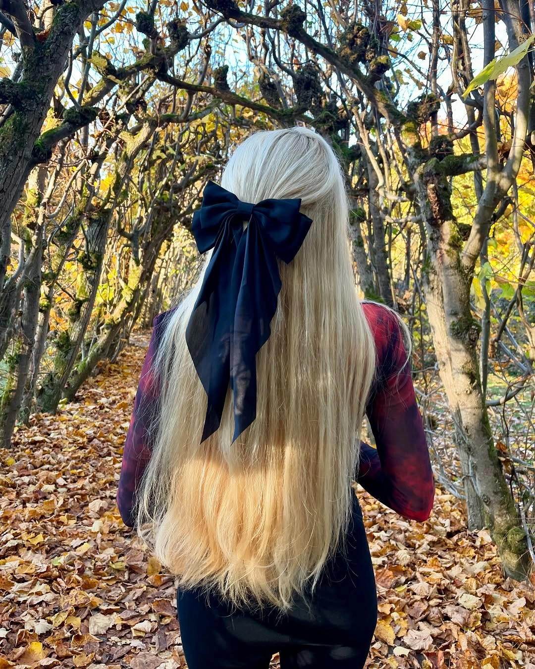 fall hairstyles for long hair 2026 Velvet Ribbon Romance for Extra-Long Blonde Hair