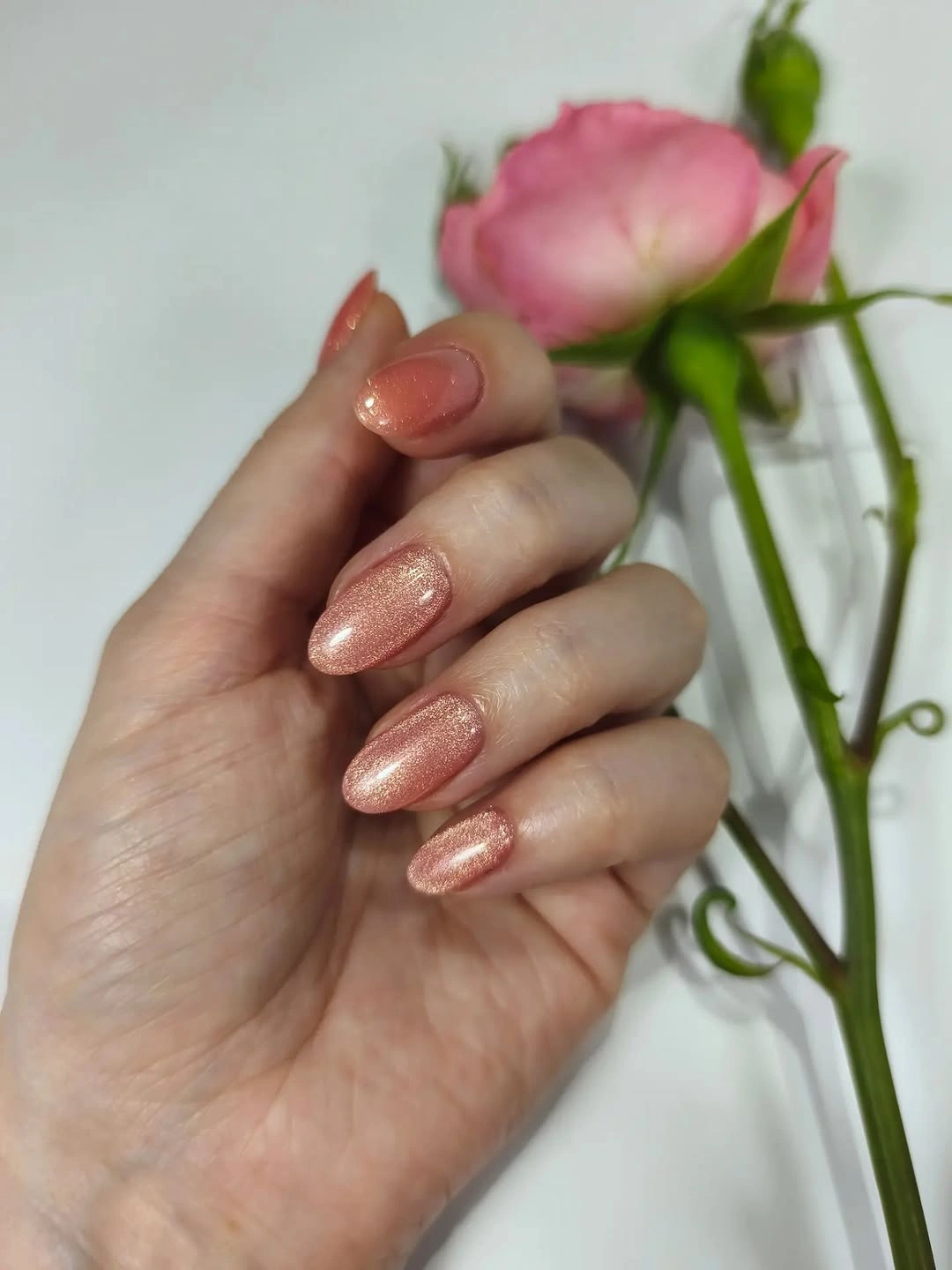 Fall nail art 2026 Peach Shimmer Nails Beside a Pink Rose