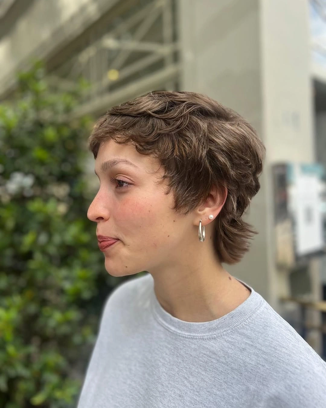 fall pixie haircut ideas 2026 Modern Bixie with Soft Layered Nape