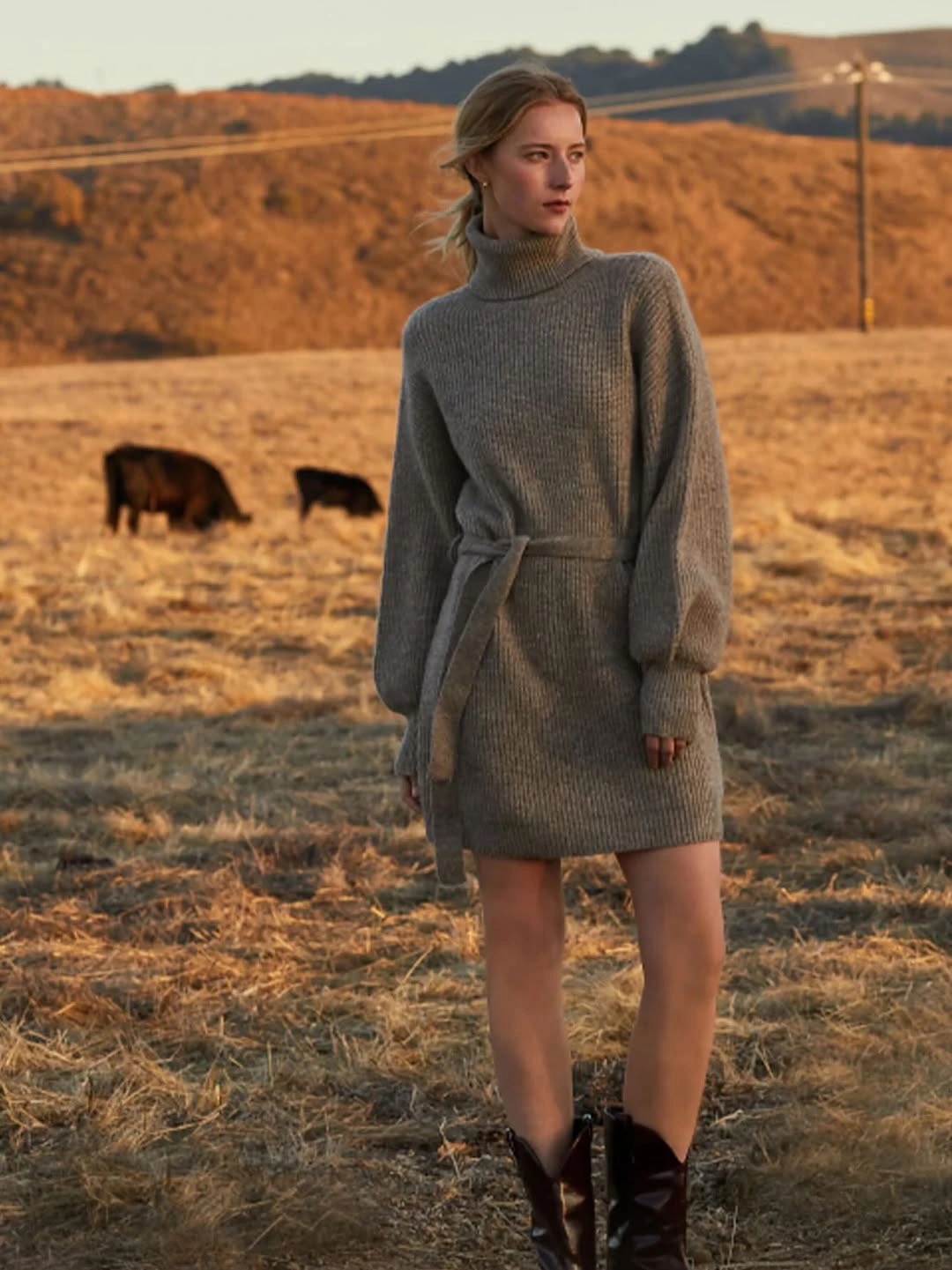 fall sweater dress outfits 2026 Soft Taupe Belted Knit Dress with Western Charm