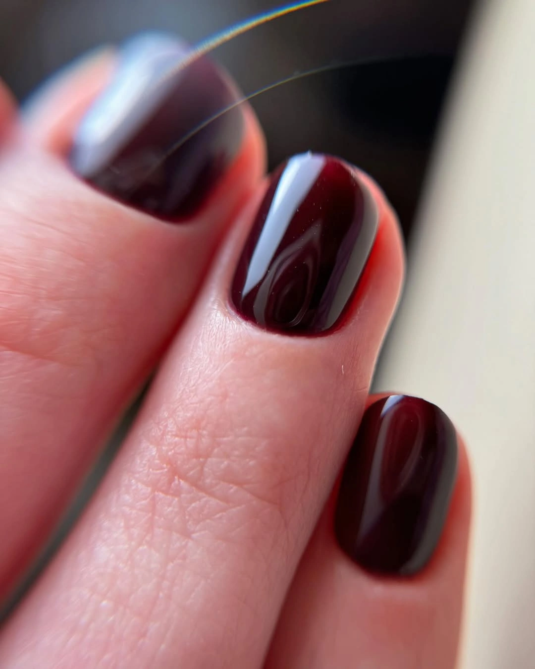 Short rounded square nails in very deep glossy burgundy wine