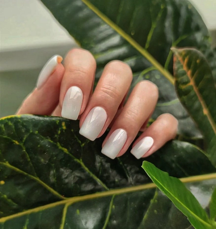 Short milky-white rounded nails framed by green leaves