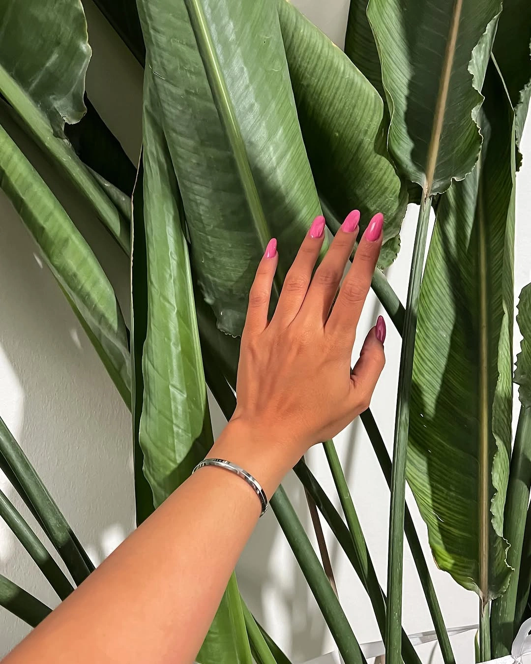 Long bright pink pointed nails against broad green leaves