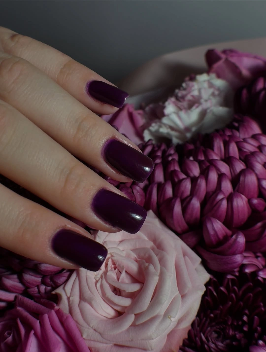 Medium square glossy dark plum fall nails