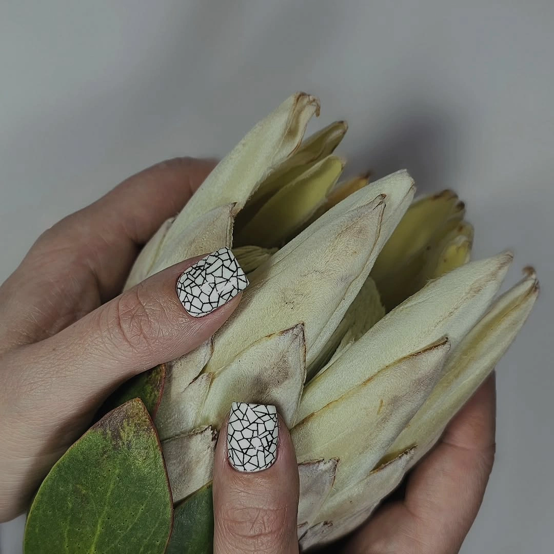 Short square white nails with dark lattice accent details