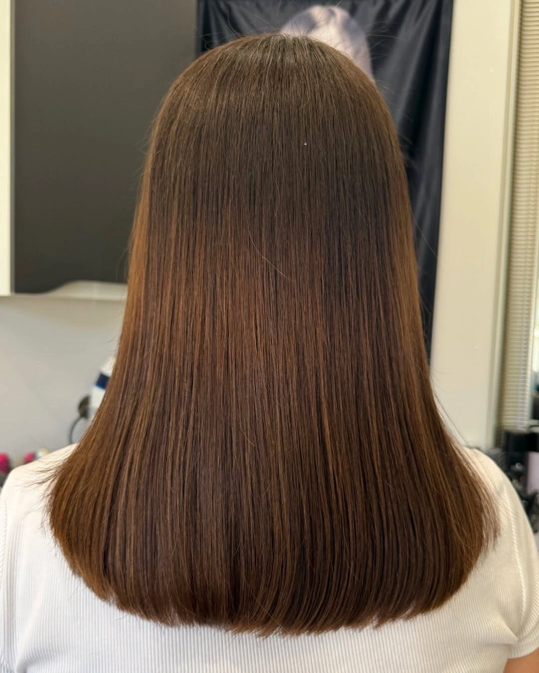 Straight brown medium haircut with softly curved blunt ends
