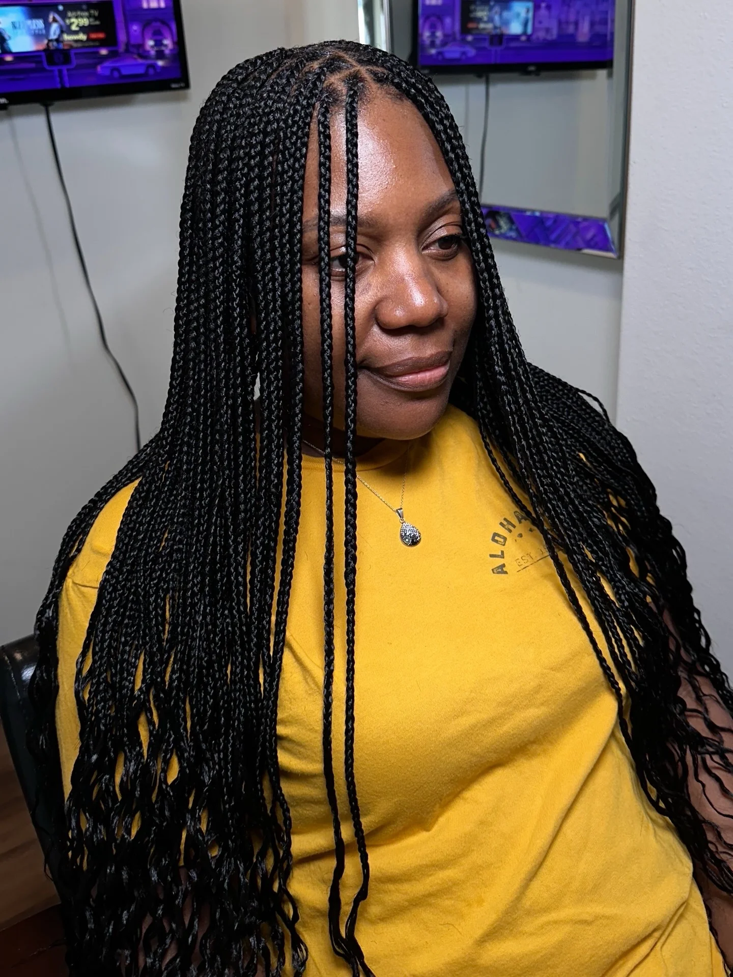 Long black small braids with center part over shoulders