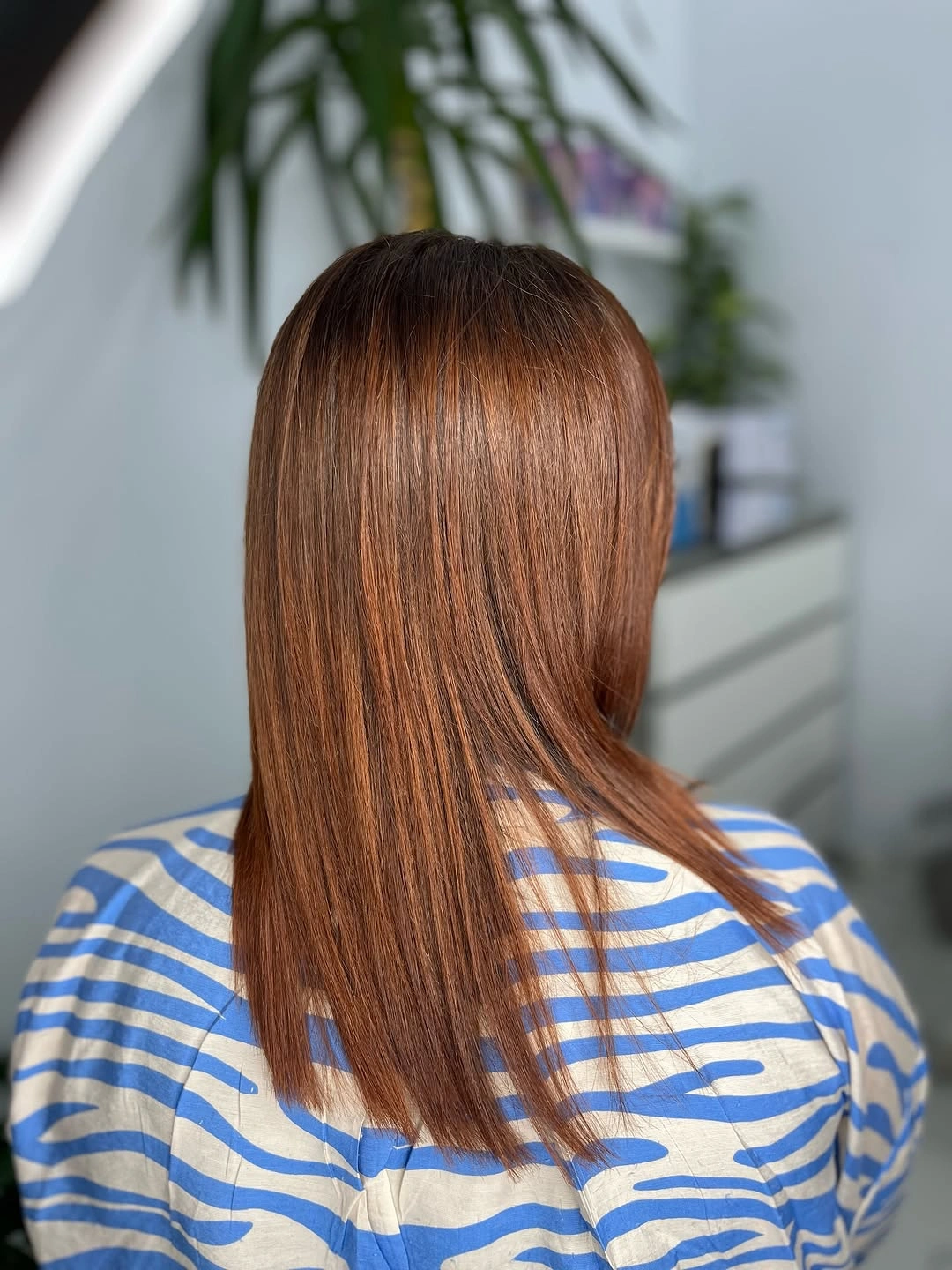 Copper-brown shoulder-length straight hair from behind