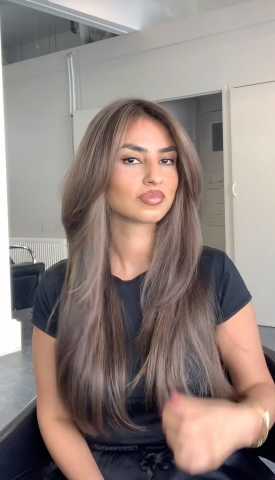 Sleek Mid-Back Straight With Smoky Ash Sleek Mid-Back Straight With Smoky Ash β Mushroom Brown Hair