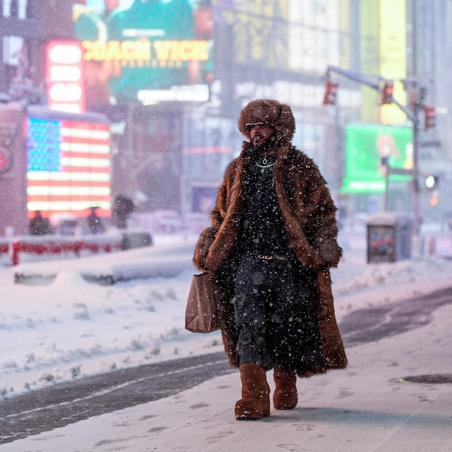Full Fur Coat for Dramatic Winter Warmth — Chicago Winter Outfits