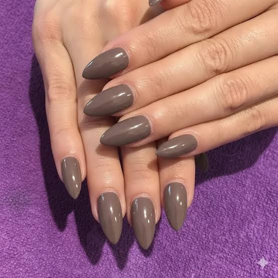 Glossy Taupe Medium Stiletto Nails — Winter Acrylic Nail Colors
