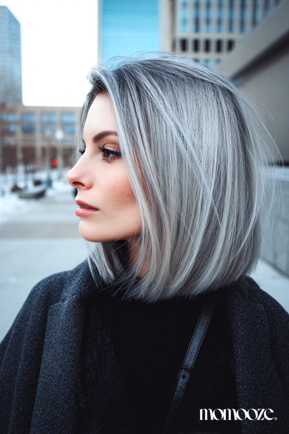 Voluminous Ash Gray Straight Bob Voluminous Ash Gray Straight Bob β Winter Hair Colors for Gray Hair