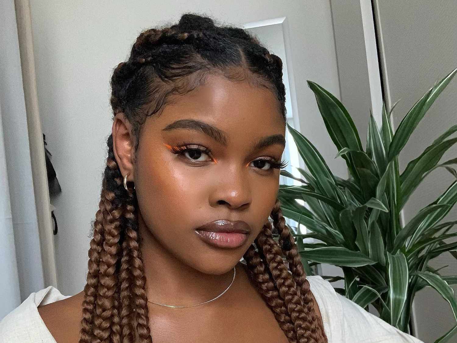 Mid-Back Dark Brown Box Braids with Flyaways Mid-Back Dark Brown Box Braids with Flyaways β Winter Braided Hairstyles