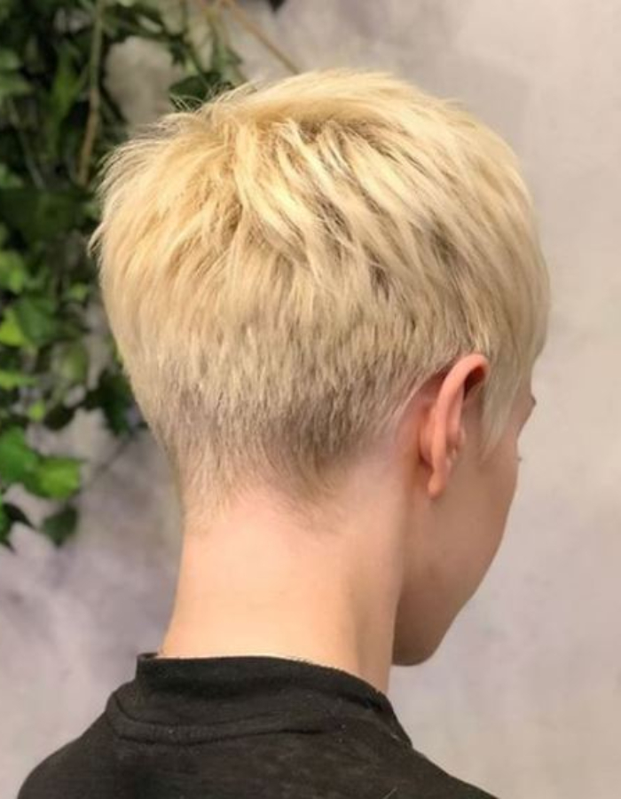 Ear Visual Idea — Short Winter Haircuts