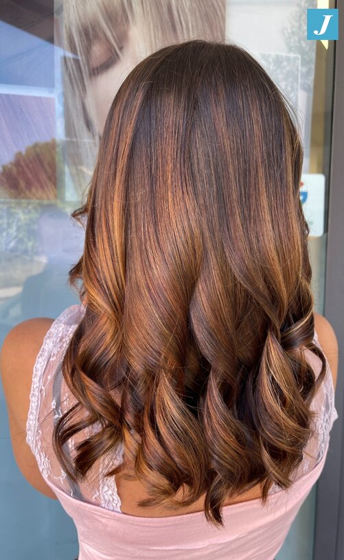 Back View Visual Idea Back View Visual Idea β Chestnut Brown Hair