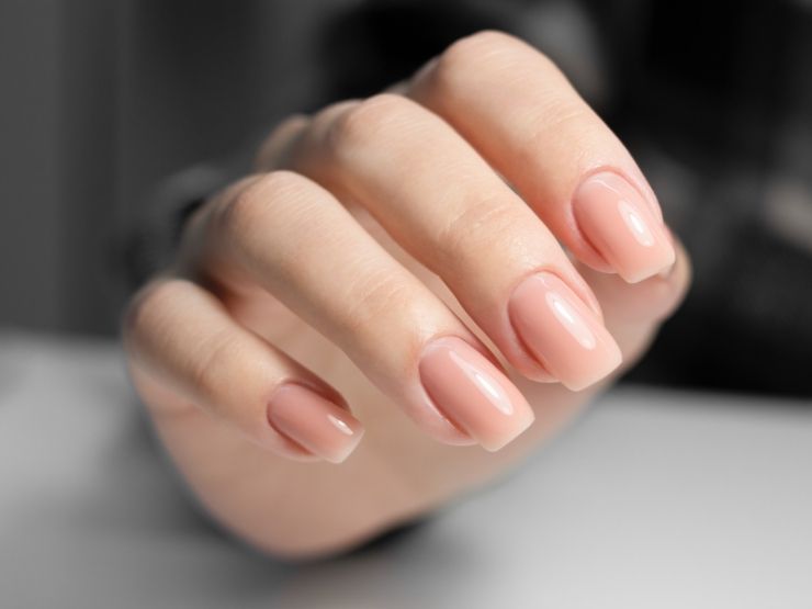 Neutral Visual Idea Neutral Visual Idea β Winter Nude Nails
