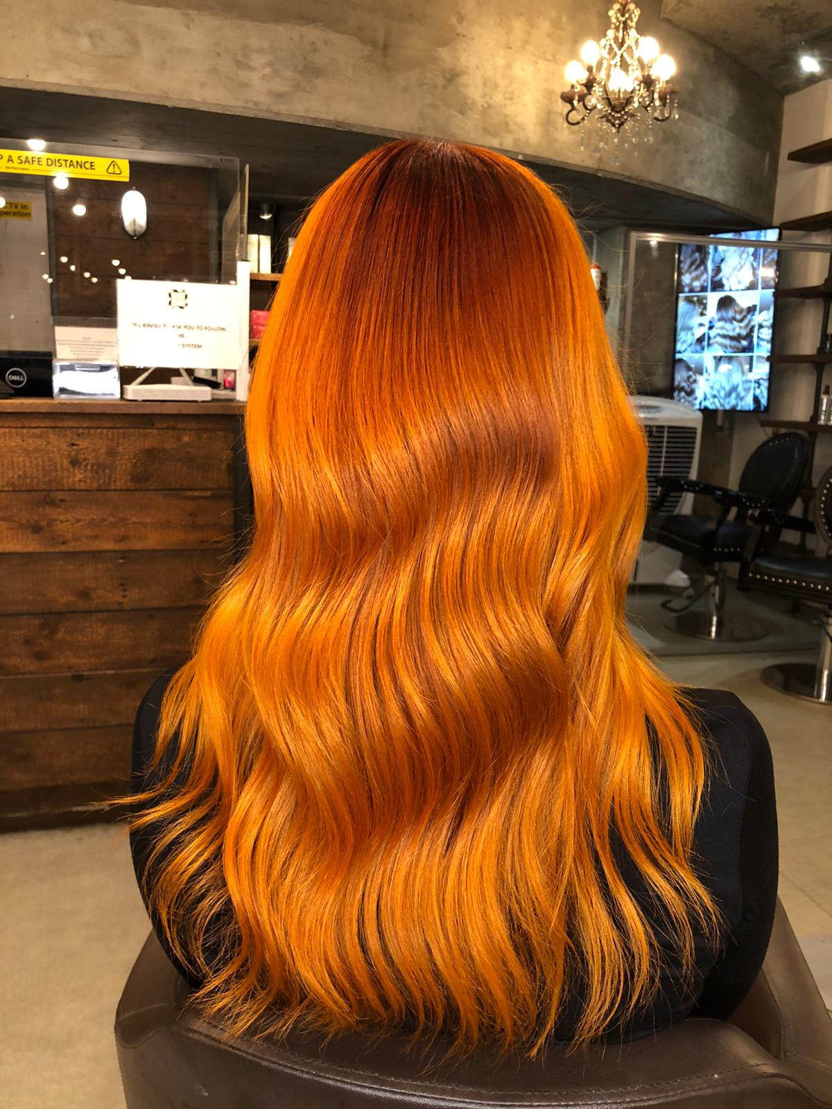 Back View Visual Idea Back View Visual Idea β Winter Copper Hair Color