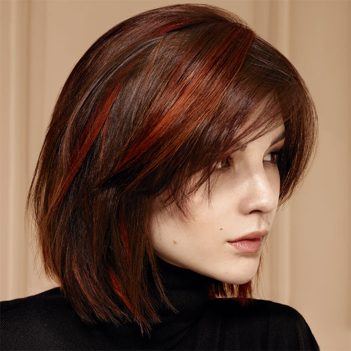 Dark Brown With Red Highlights Visual Idea — Fall to Winter Hair Colors