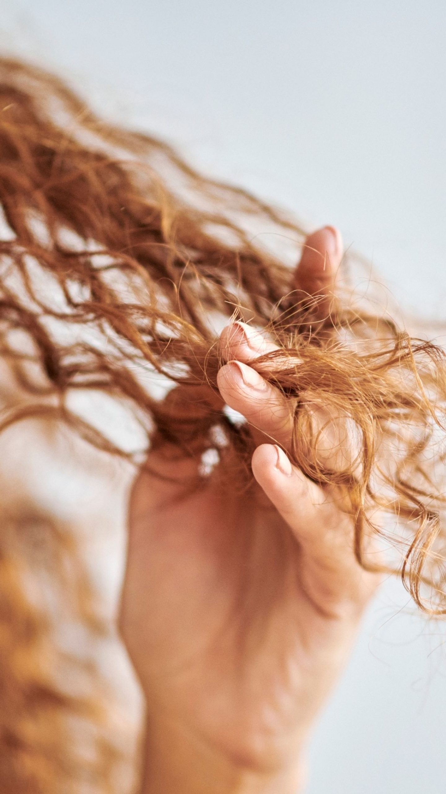 Auburn Visual Idea Auburn Visual Idea β Winter Hairstyles for Curly Hair