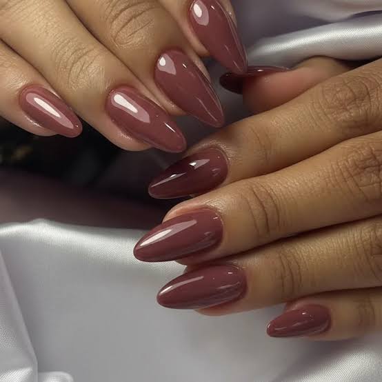 Glossy Muted Rose Brown Stilettos — Winter Acrylic Nail Colors
