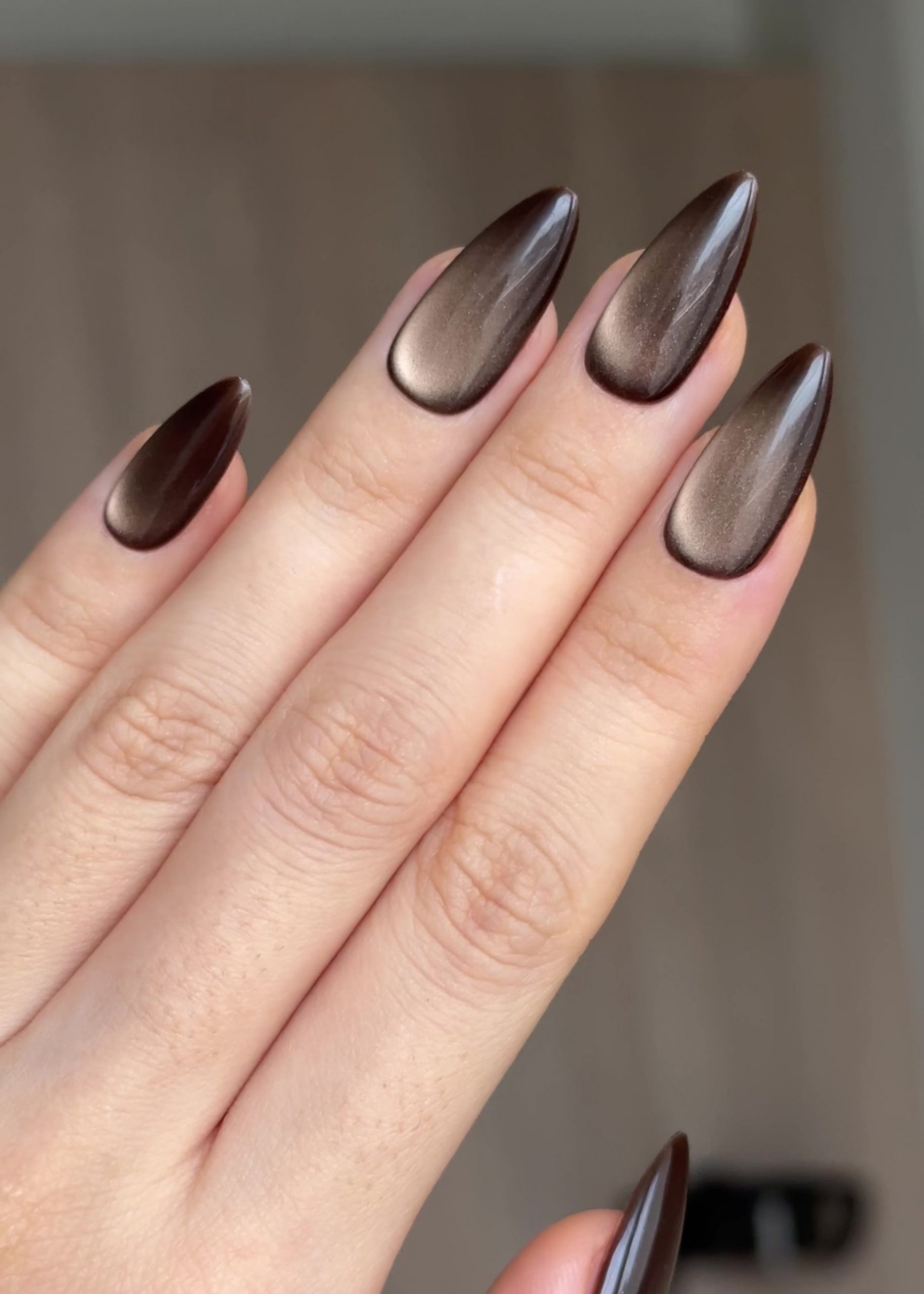 Dark Chocolate Cat-Eye Shimmer Long Stiletto Nails — Chocolate Brown Nails