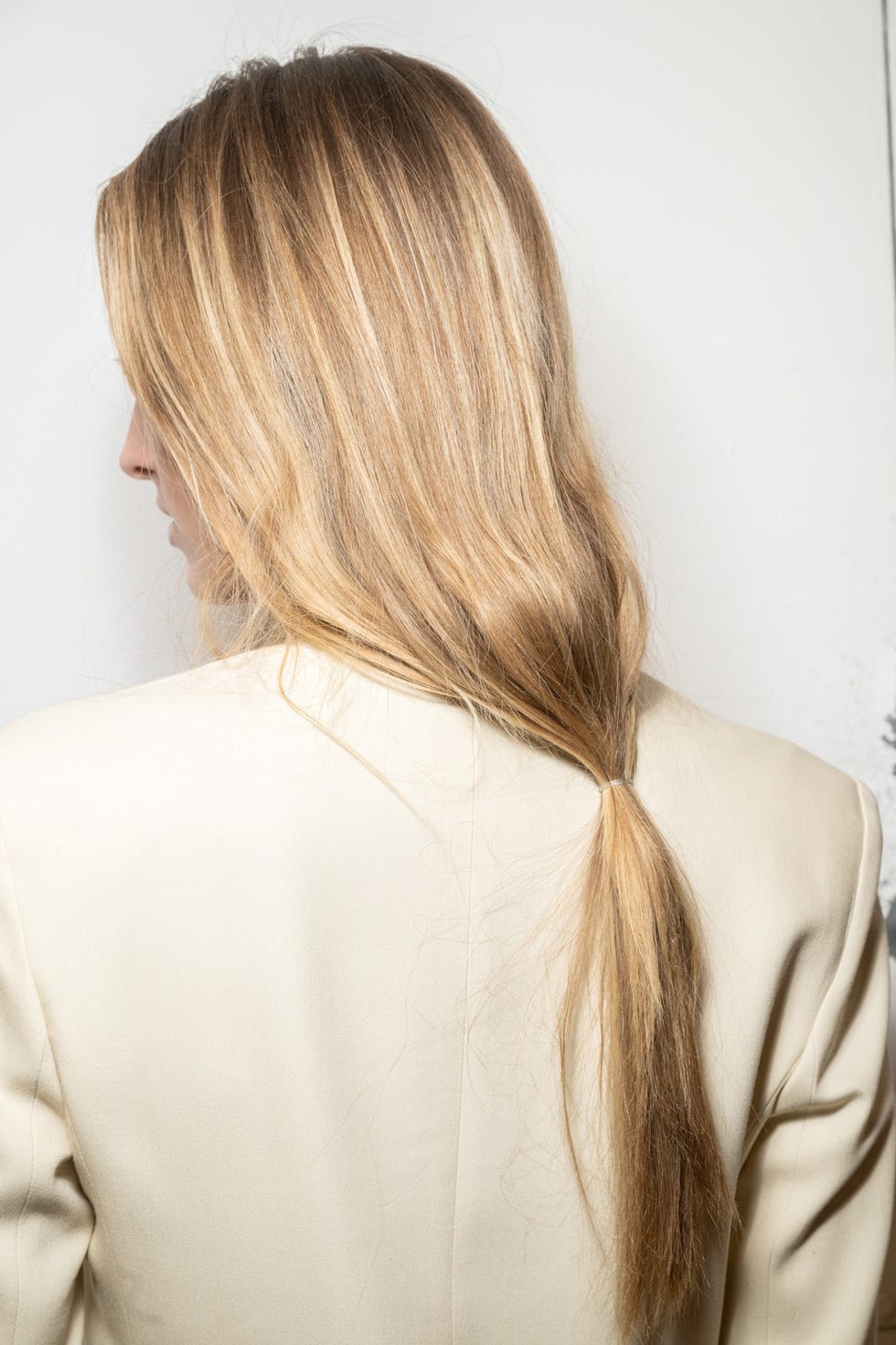 Honey Blonde Braided Low Ponytail — Winter Updos