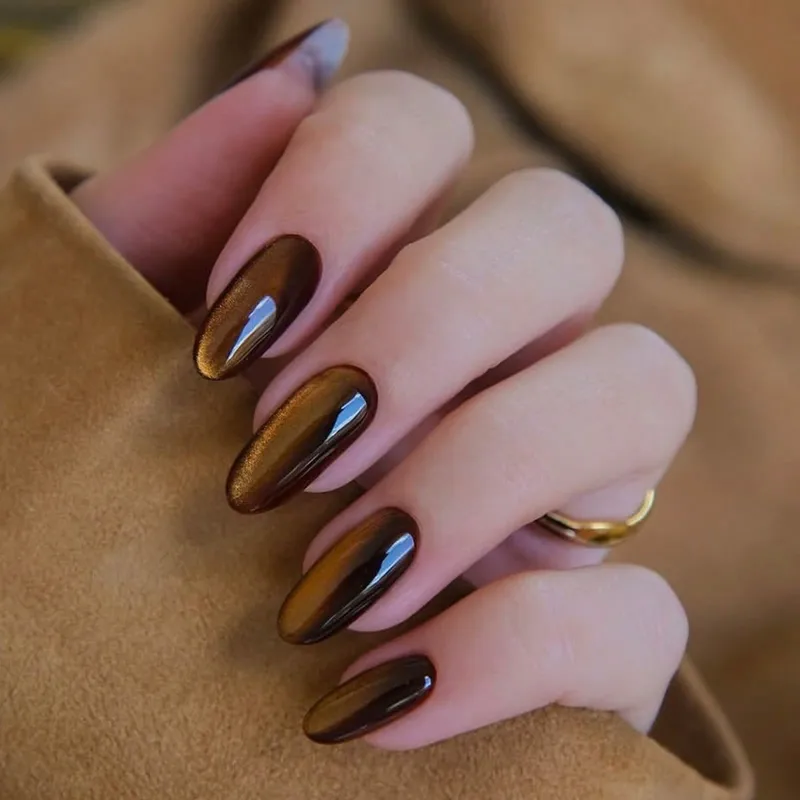 Warm Brown Golden Cat Eye Nails — Winter Cat Eye Nails