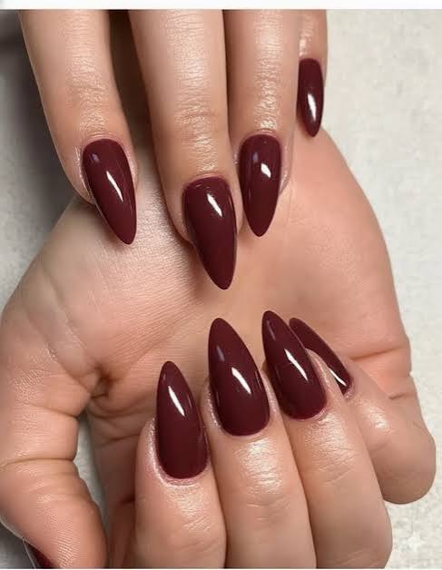None Visual Idea None Visual Idea β Winter Almond Nails