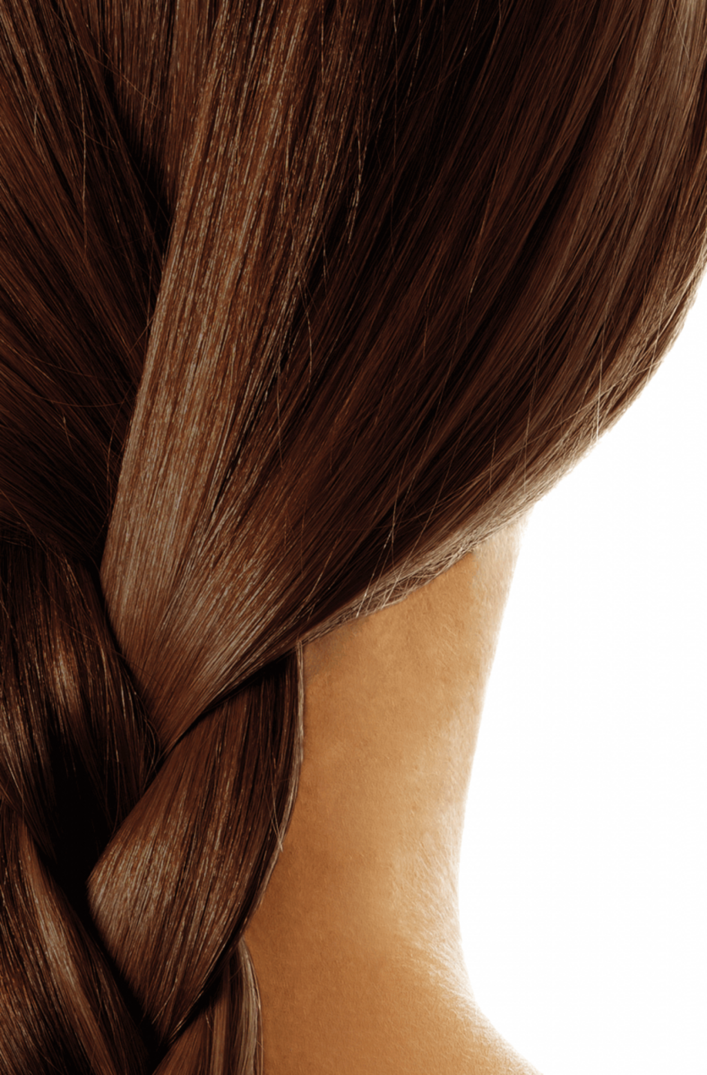 Braided Visual Idea Braided Visual Idea β Chestnut Brown Hair