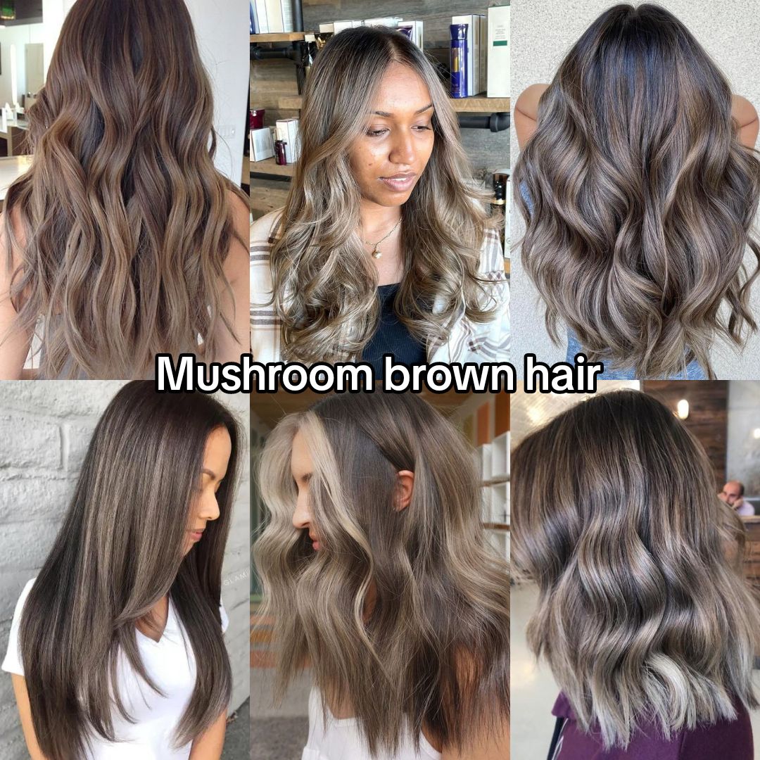 Mid-Back Straight With Soft Face-Framing Layers Mid-Back Straight With Soft Face-Framing Layers β Mushroom Brown Hair