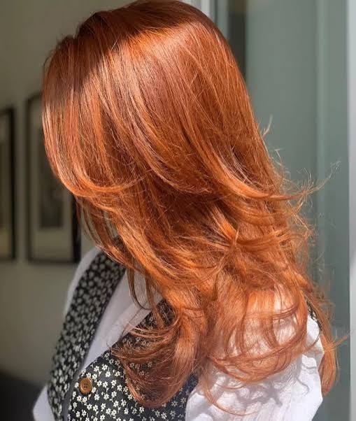 Vibrant Copper Red Visual Idea — Fall to Winter Hair Colors