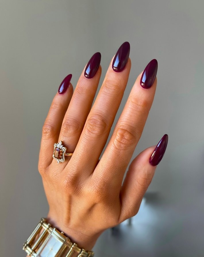 Long Stiletto Deep Plum Long Stiletto Deep Plum β Old Money Winter Nails