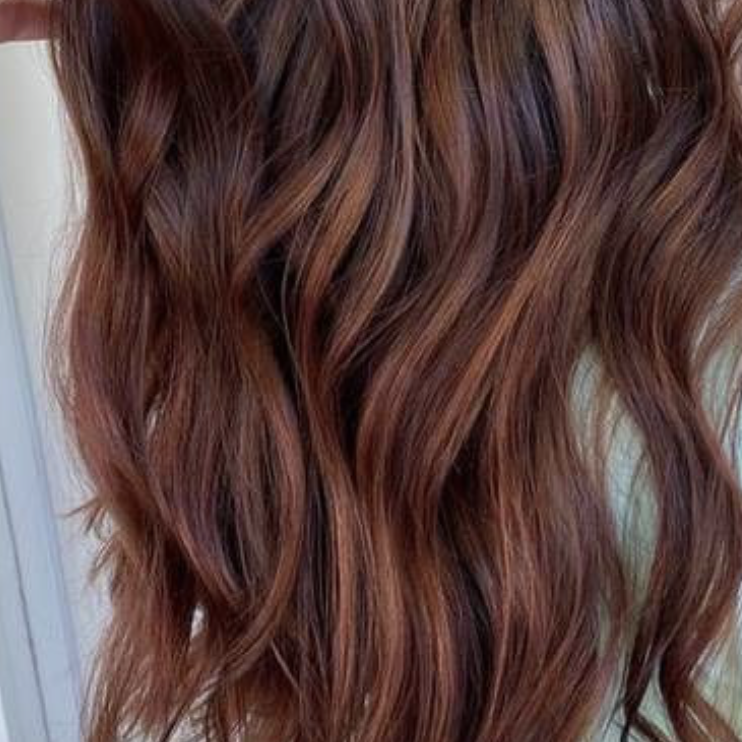 Reddish Highlights In Chestnut Base Visual Idea Reddish Highlights In Chestnut Base Visual Idea β Chestnut Brown Hair