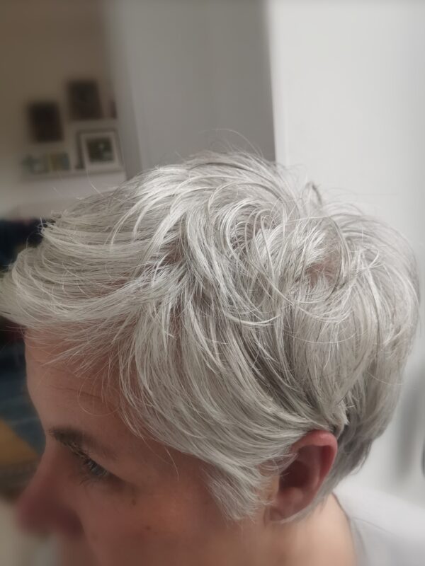 Textured Silver-Gray Crop Textured Silver-Gray Crop β Gray Blending Highlights