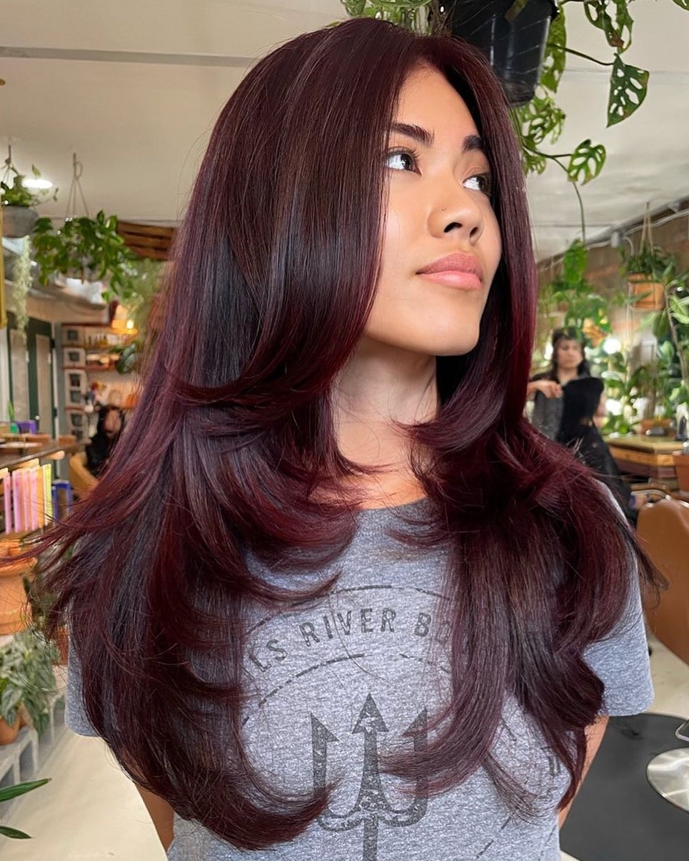 Dark Red Base With Subtle Red Highlights Visual Idea — Winter Hairstyles for Black Women