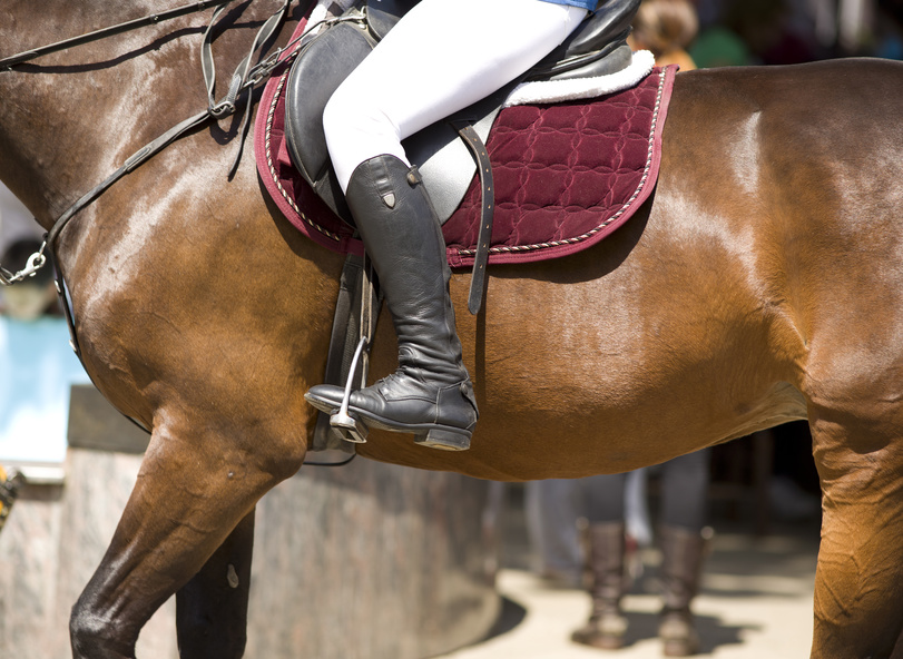Rider and Horse: Black Boots with White Breeches Rider and Horse: Black Boots with White Breeches β Riding Boots Outfits