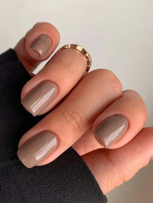 Taupe Brown Visual Idea Taupe Brown Visual Idea β Winter Nude Nails